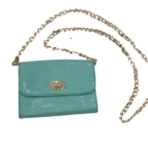 Barr & Barr New York mint green leather bag
